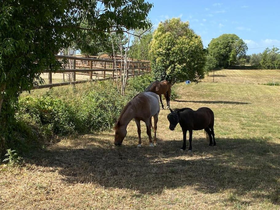 La Bastide De Jean Maison De Charme Dans Un Domaine Equestre Prive Grasse Zewnętrze zdjęcie