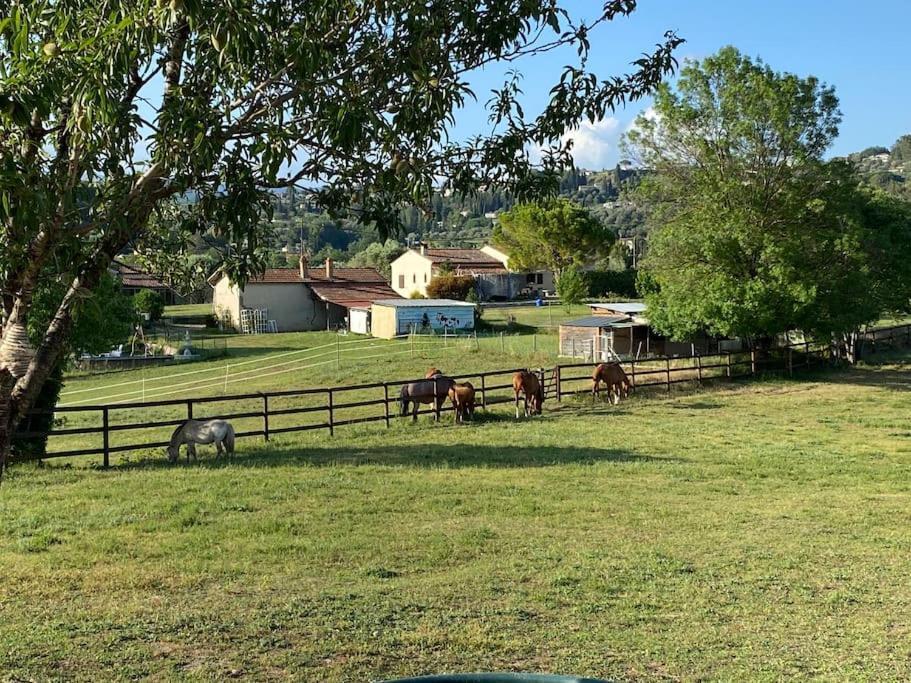 La Bastide De Jean Maison De Charme Dans Un Domaine Equestre Prive Grasse Zewnętrze zdjęcie